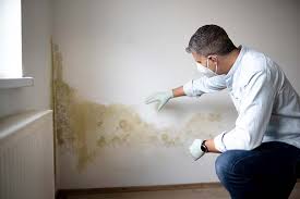 Mold Removal for HVAC Installations in Marlinton, WV